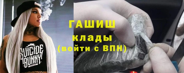 прущие грибы Аркадак