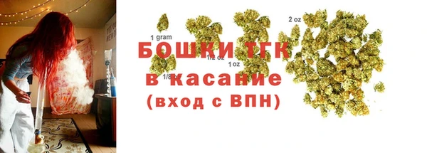 тгк Алзамай
