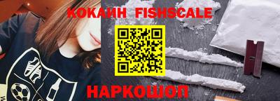 крисы Кингисепп