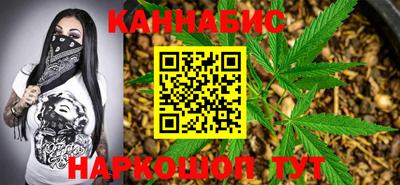 крисы Кингисепп