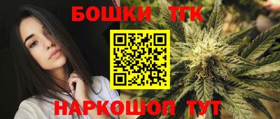 стаф Кинель