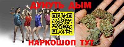 крисы Кингисепп