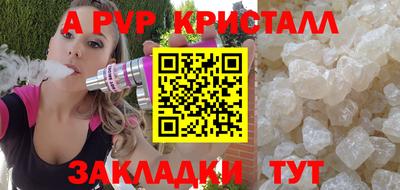 крисы Кингисепп