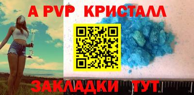 стаф Кинель