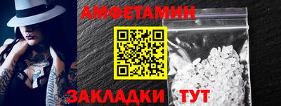 крисы Кингисепп