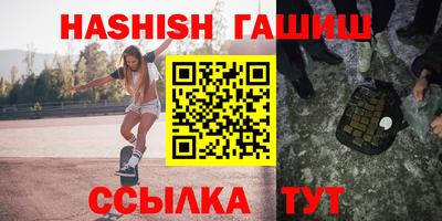 крисы Кингисепп