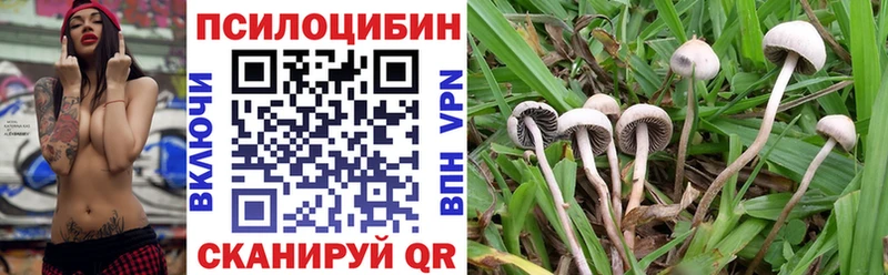 Галлюциногенные грибы Magic Shrooms  Ленинск-Кузнецкий 