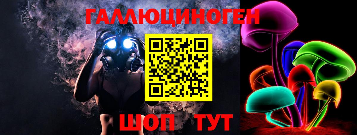 Галлюциногенные грибы Psilocybine cubensis  Вход с VPN  Ленинск-Кузнецкий 