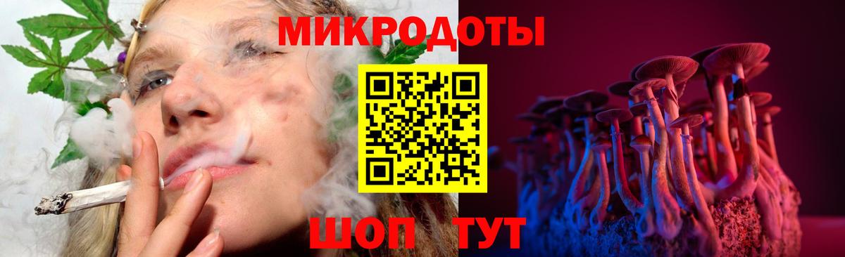 Галлюциногенные грибы Psilocybine cubensis Ленинск-Кузнецкий